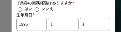 IT業界の実務経験の有無・生年月日を入力