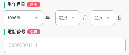生年月日・電話番号を入力
