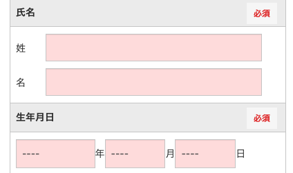 氏名・生年月日を入力