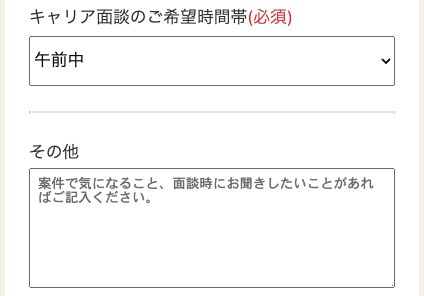 面談の希望時間帯・その他を入力