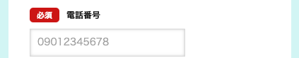 電話番号を入力
