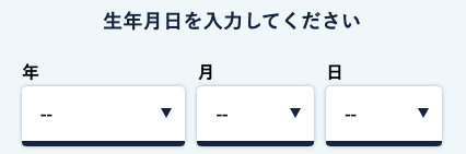 生年月日を入力