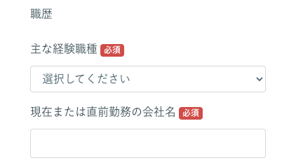 主な経験職種・現在または直近の会社名を入力