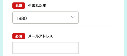 生まれ年・メールアドレスを入力