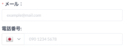 メールアドレス・電話番号を入力