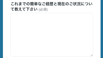 これまでの簡単な経歴と現在の状況を入力