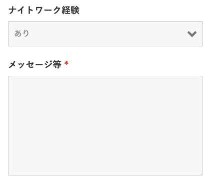 ナイトワーク経験・メッセージ等を入力