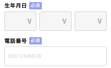 生年月日・電話番号を入力