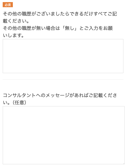 その他職歴・コンサルタントへのメッセージを入力