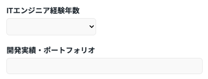 ITエンジニア経験年数・開発実績を入力