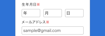 生年月日・メールアドレスを入力