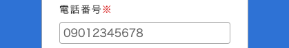 電話番号を入力