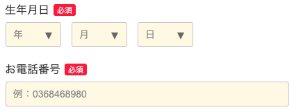 生年月日・電話番号を入力
