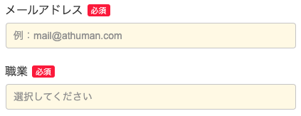 メールアドレス・職業を入力