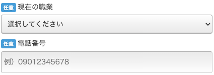 現在の職業・電話番号を入力