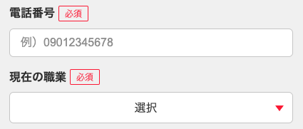 電話番号・現在の職業を選択